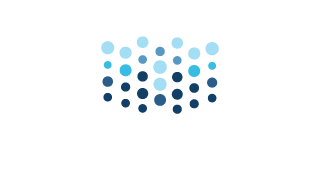 Data Heavens Logo